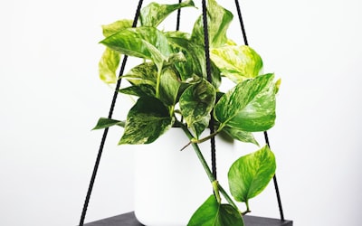 英格兰足球超级联赛标志性球场与比赛画面